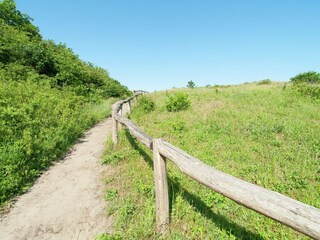 Ferienpark Zandvoort Umgebung 15