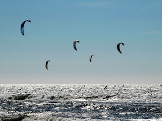 Ferienpark Zandvoort Umgebung 16