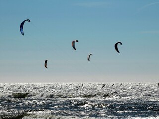 Parc de vacances Zandvoort Environnement 30