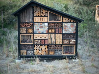 Parc de vacances Zandvoort  35