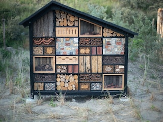 Vakantiepark Zandvoort  35