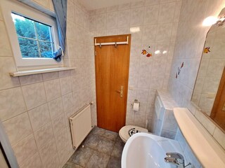 Tageslicht-Bad mit DU/WC