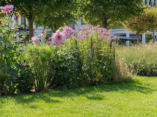Promenade Seebad Ahlbeck