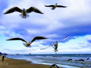 Strandspaziergang bei kaltem Wind