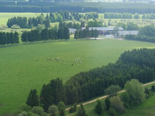 Casa per le vacanze Bütgenbach Ambiente 16