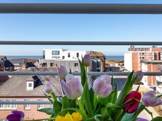 Vakantieappartement Westerland Kenmerken 13