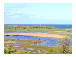 Ferienwohnung Heiligenhafen Umgebung 17