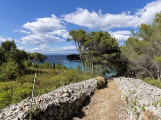 Villa Milna (Brač) Environment 36