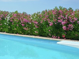 Villa Marseillan Grabación al aire libre 10