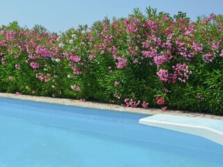 Villa Marseillan Grabación al aire libre 21
