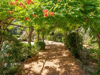 Villa Lorgues Ambiente 89