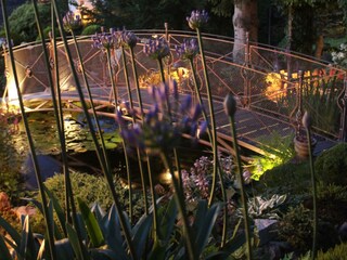 Abendstimmung im Garten