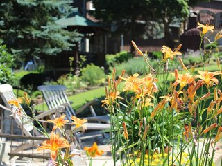 Apartamento Ostrau (Bad Schandau) Grabación al aire libre 22