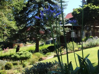 Apartamento Ostrau (Bad Schandau) Grabación al aire libre 23