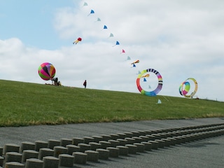 Drachenfest
