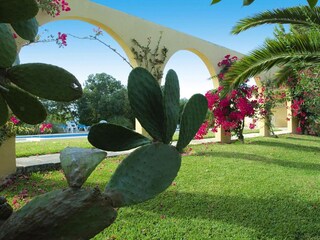 Parque de vacaciones Santa Margalida Grabación al aire libre 10