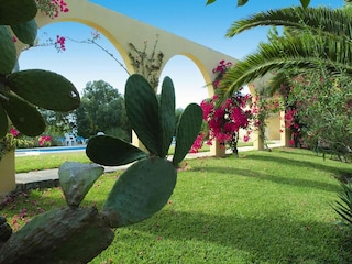 Ferienpark Santa Margalida Außenaufnahme 9