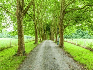 Ferienpark Barvaux-sur-Ourthe Umgebung 24