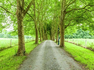 Ferienpark Barvaux-sur-Ourthe Umgebung 31