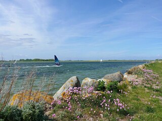 Apartamento Orth Entorno 12