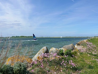 Apartment Orth Environment 34