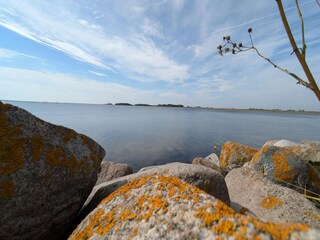 Appartement Orth Environnement 38