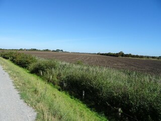 Apartamento Orth Entorno 23