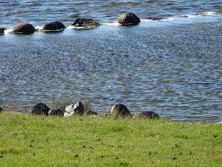 Appartement Orth Environnement 30
