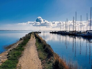 Appartement Orth Omgeving 22