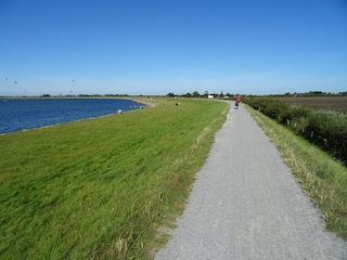 Apartment Orth Umgebung 24