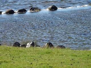 Apartment Orth Umgebung 28