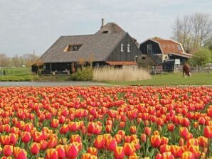 Appartamento romantico a Schagen con giardino - Schagen - image1