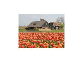 Apartamento Schagen Grabación al aire libre 3