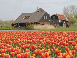 Apartamento de ambiente romántico en Schagen con jardín - Schagen - image1