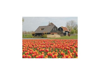 Appartement Schagen Buitenaudio-opname 4