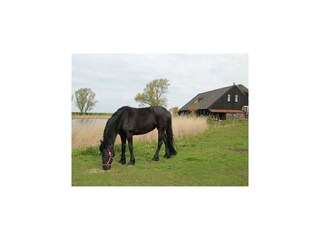 Appartamento Schagen  35