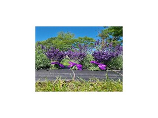 Vakantiepark Lubin Omgeving 17