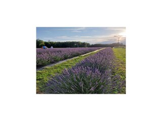 Holiday park Lubin Environment 15