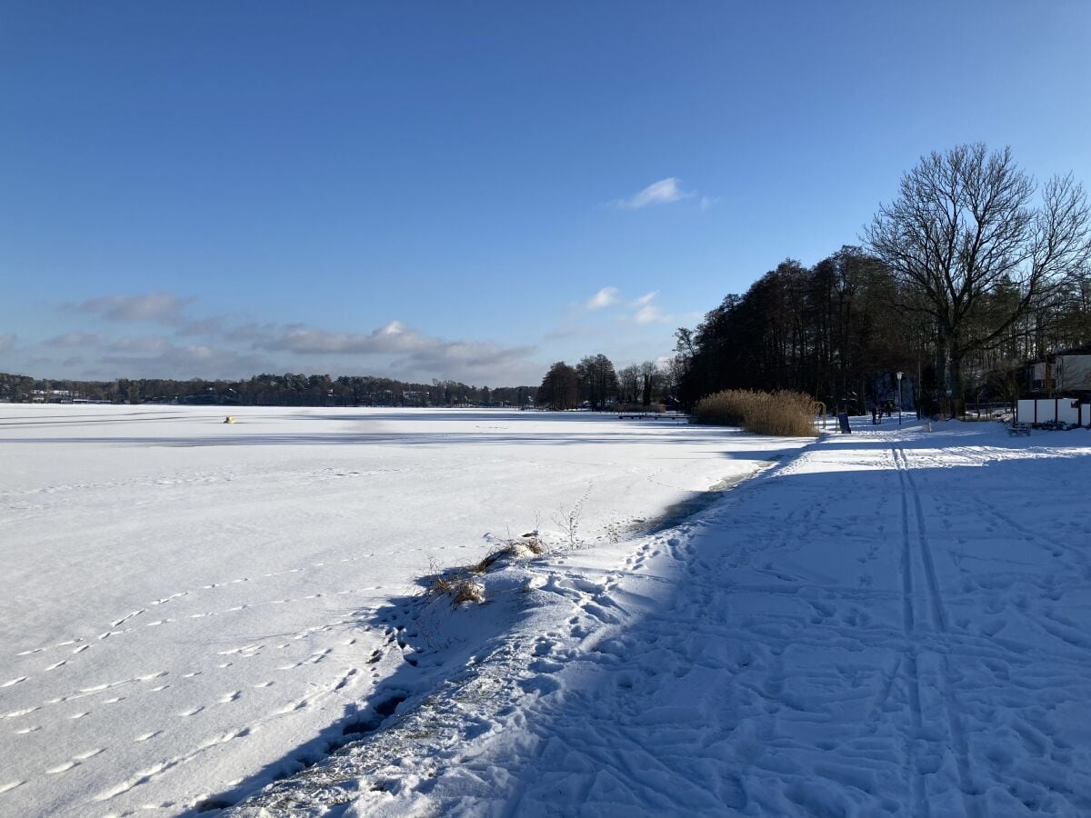 Schwielochsee im Winter