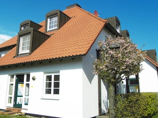 Haus K
