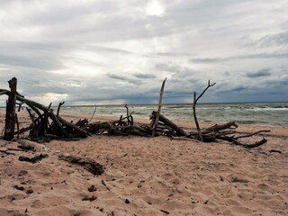 Strandgut Weststrand