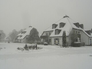 im Winter