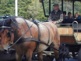 Spazierfahrt