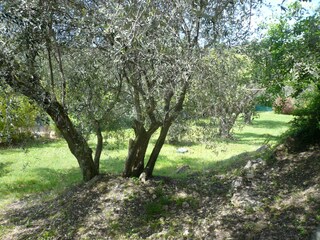 Casa per le vacanze Le Rouret Registrazione all'aperto 11