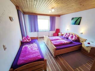 Casa per le vacanze Hippach Caratteristiche 29