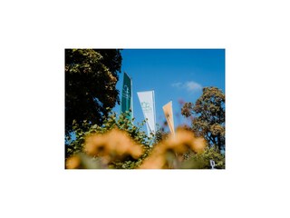 Vakantiepark Altenau im Oberharz Buitenaudio-opname 3