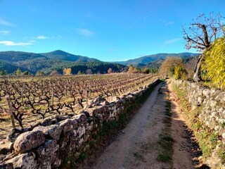 Vakantiehuis Les Vans Omgeving 32