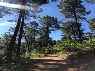 Ferienhaus Les Vans Umgebung 33