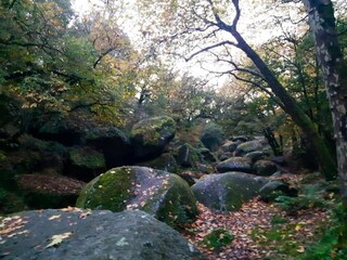 Casa per le vacanze Huelgoat Ambiente 31