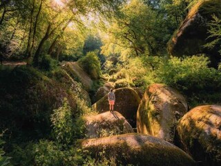 Vakantiehuis Huelgoat Omgeving 33